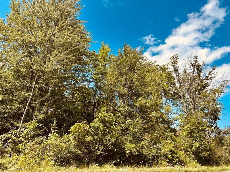 Lake Road , Medina, OH 44256 Photo 2