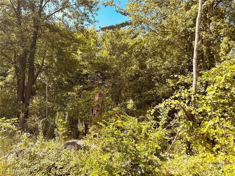 Lake Road , Medina, OH 44256 Photo 3