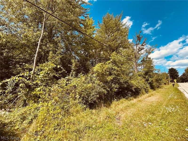 Lake Road , Medina, OH 44256 Photo 4