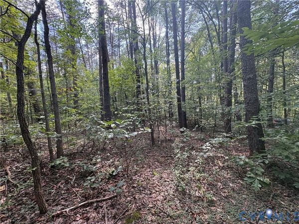0 Bradshaw Road , Gum Spring, VA 23065