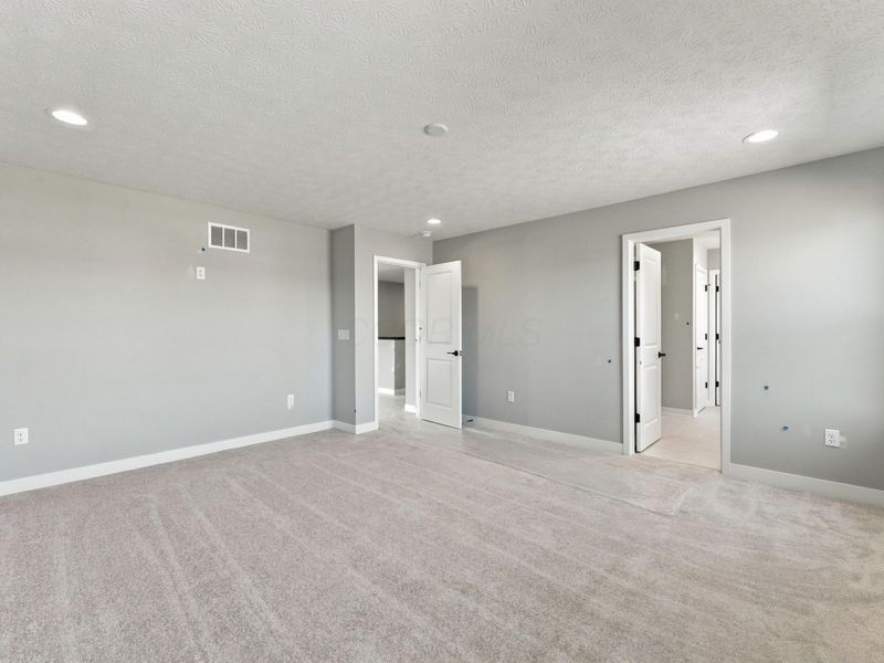 299 River Birch Drive, Galena, OH 43021 Photo 53