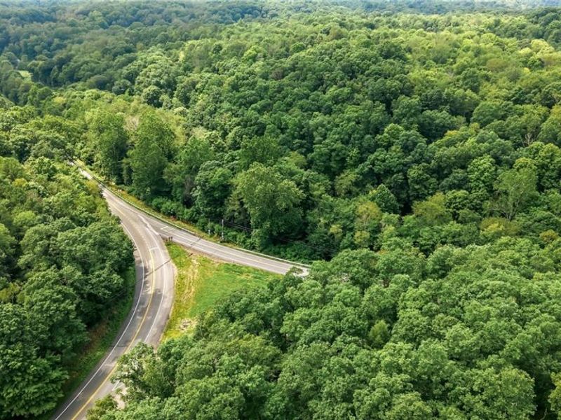 State Route 39, Salineville, OH 43945 Photo 6
