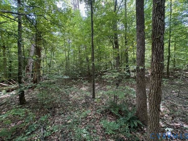 0 Roundabout Road , Louisa, VA 23093