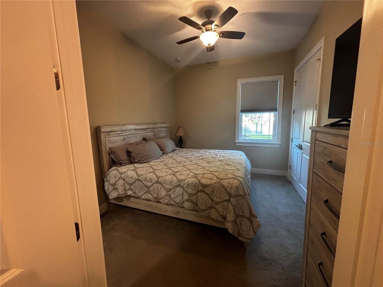 20902 Ragan Lane, Land O Lakes, FL 34638 Photo