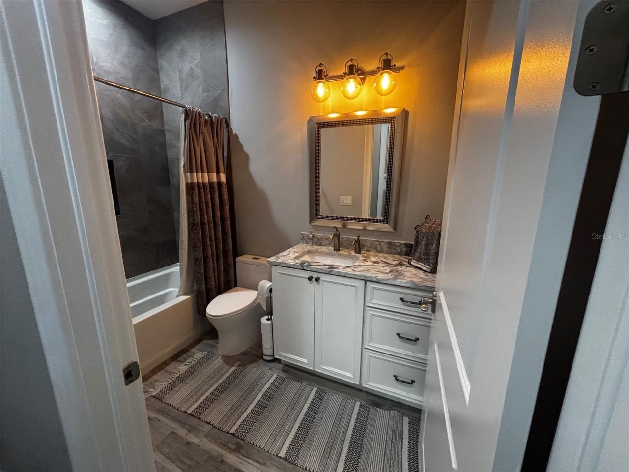20902 Ragan Lane, Land O Lakes, FL 34638 Photo