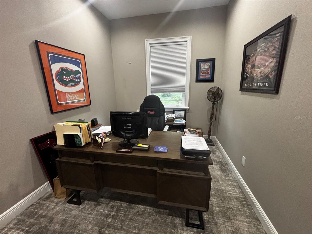 20902 Ragan Lane, Land O Lakes, FL 34638 Photo