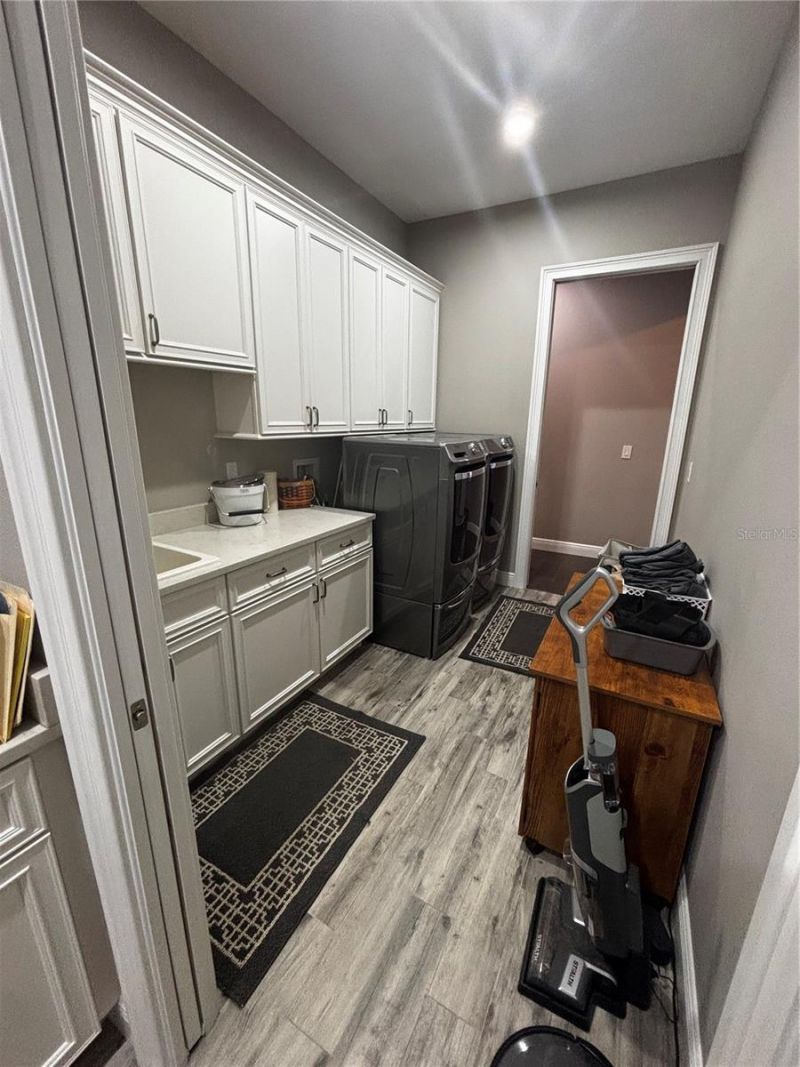 20902 Ragan Lane, Land O Lakes, FL 34638 Photo