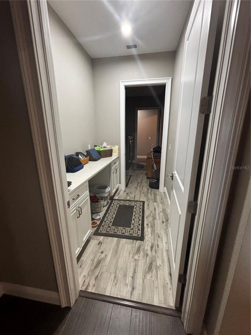 20902 Ragan Lane, Land O Lakes, FL 34638 Photo