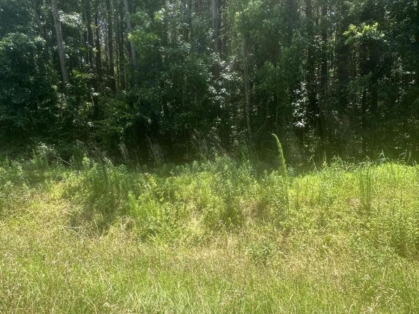 Near 721 Near 721 Joe Piver R Road, Chadbourn, NC 28431