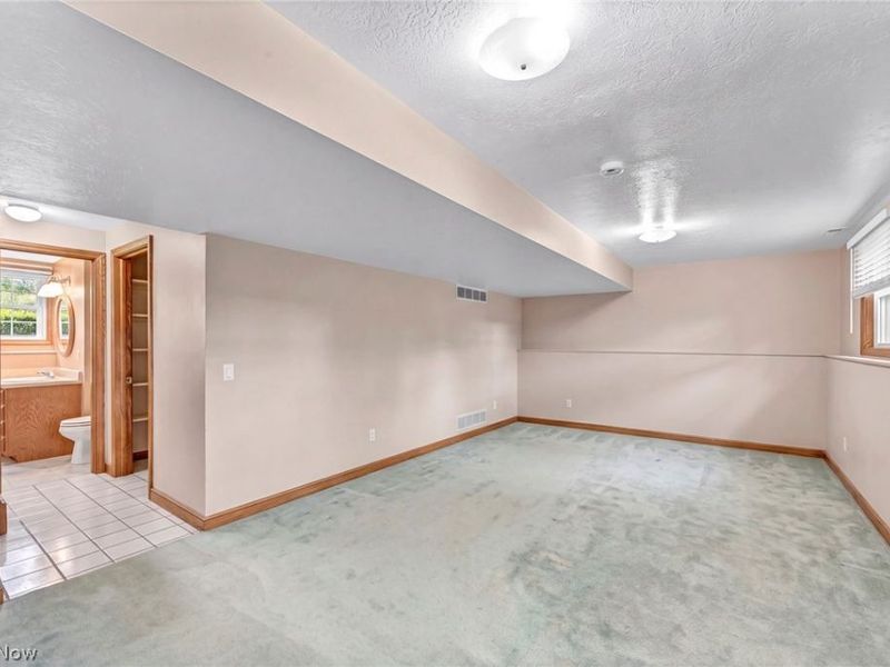 35460 Neff Road, Grafton, OH 44044 Photo 36