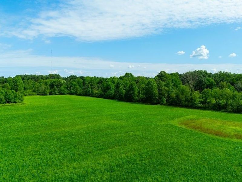 Chippewa Rd/Friendsville Rd. , Medina, OH 44256 Photo 10
