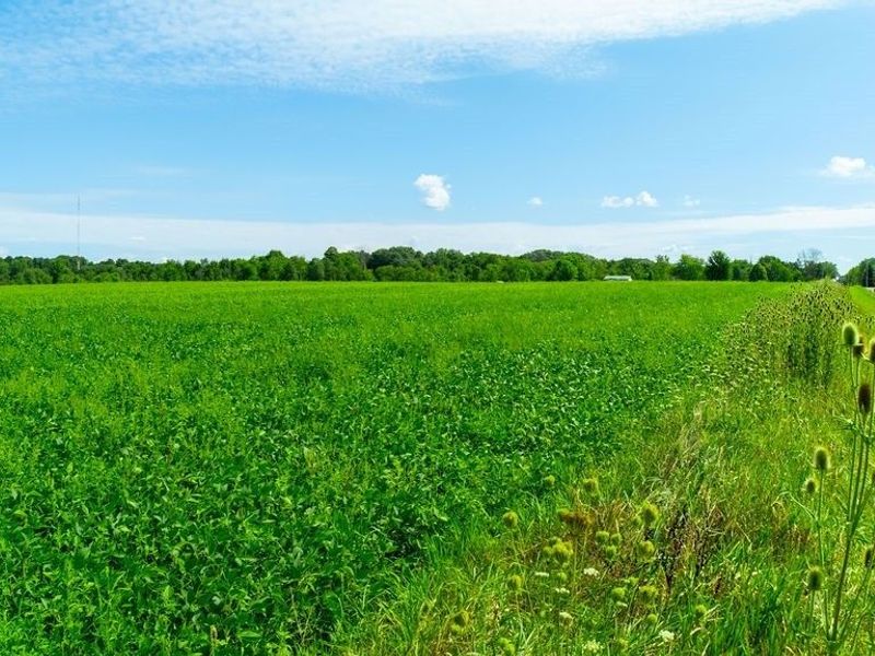 Chippewa Rd/Friendsville Rd. , Medina, OH 44256 Photo 13