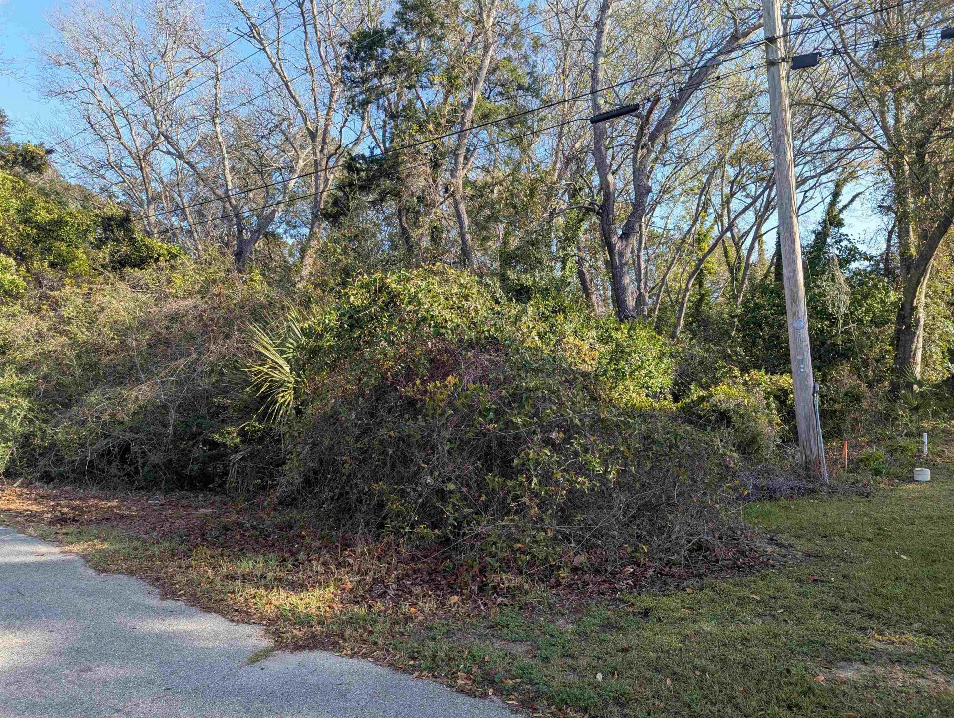 306 63rd Ave. N Photo 4