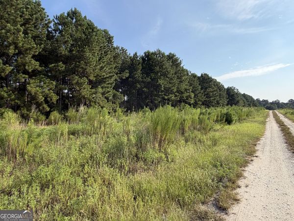 0 Highway 296, Stapleton, GA 30823