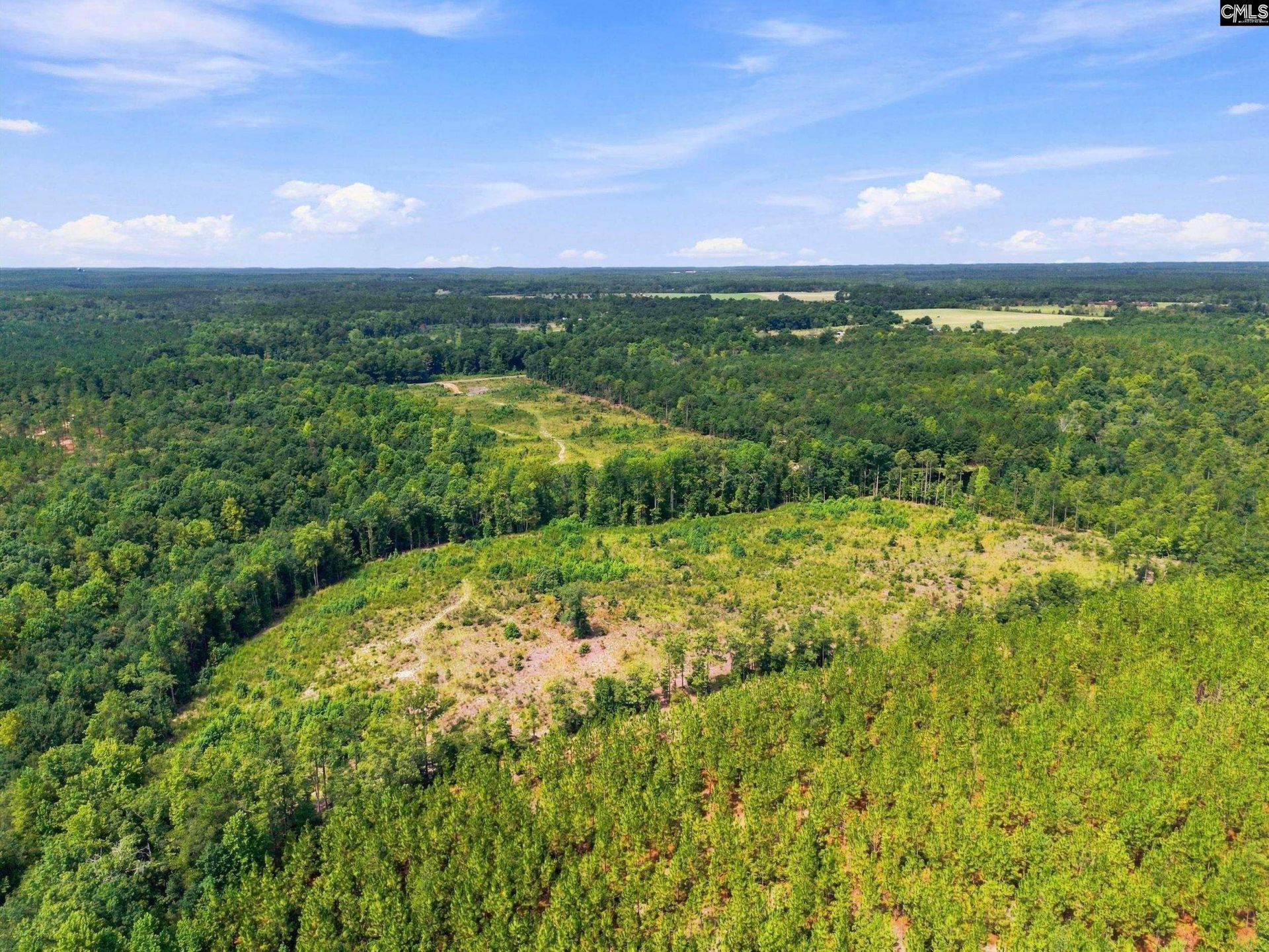 3390 Hunter Road  Photo 14