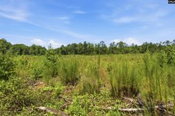 3390 Hunter Road  photo 4