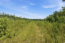 3390 Hunter Road  photo 4