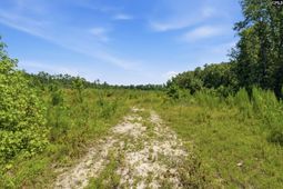 3390 Hunter Road  photo 4
