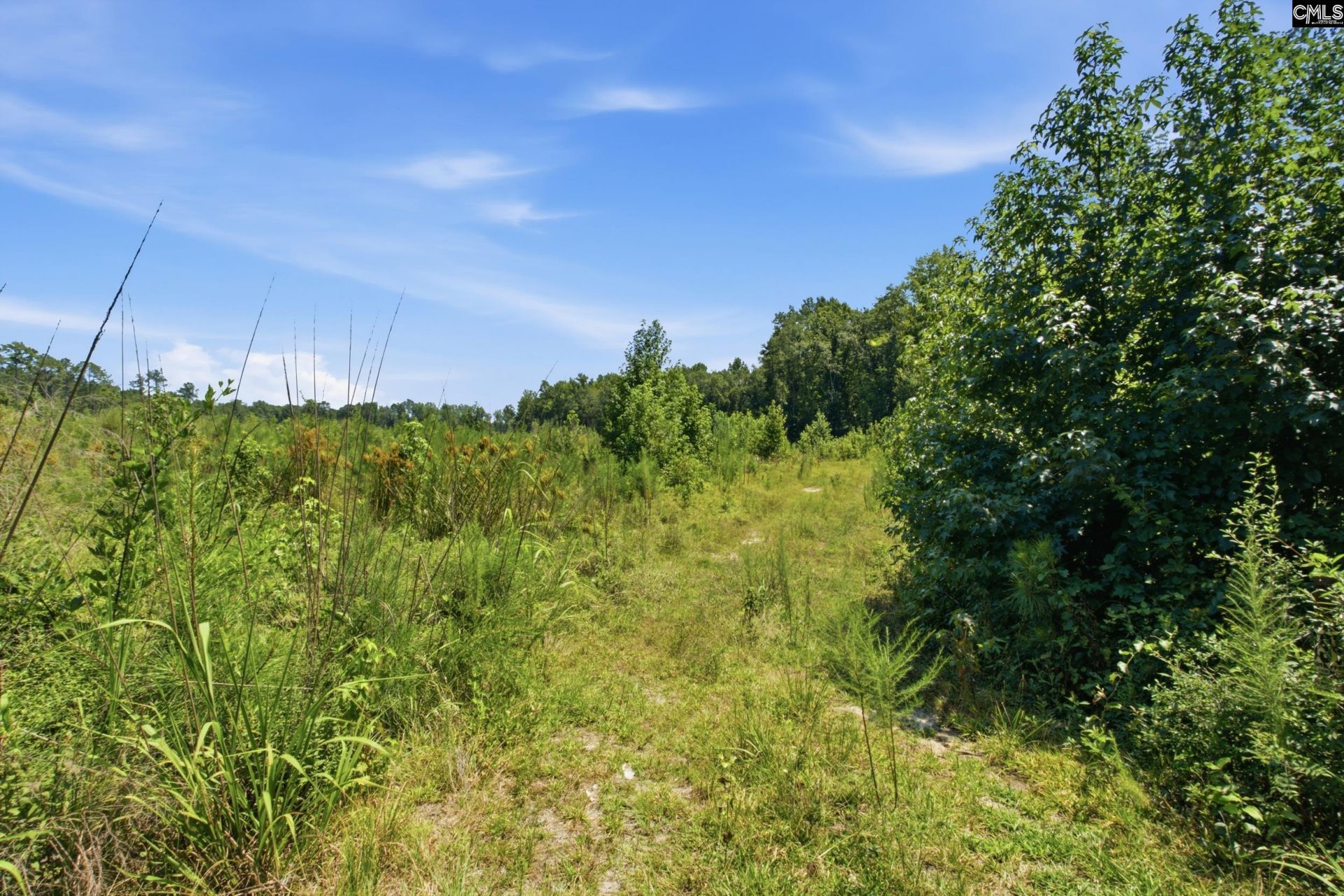 3390 Hunter Road  Photo 5