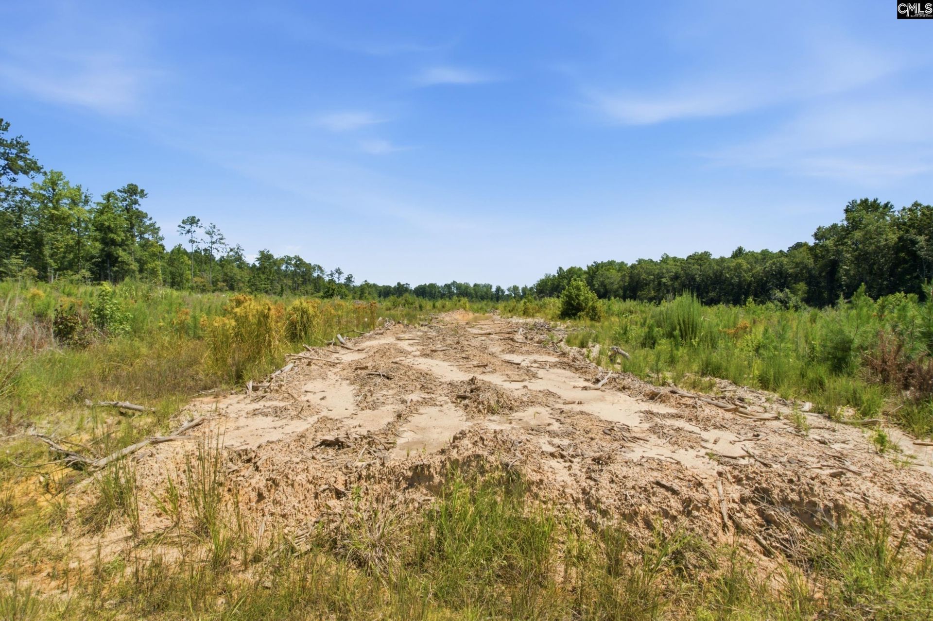 3390 Hunter Road  Photo 6