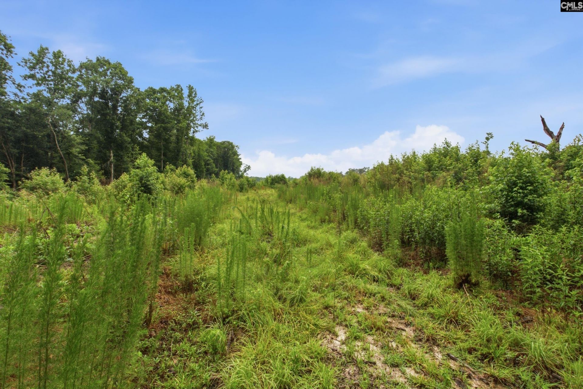 3390 Hunter Road  Photo 8