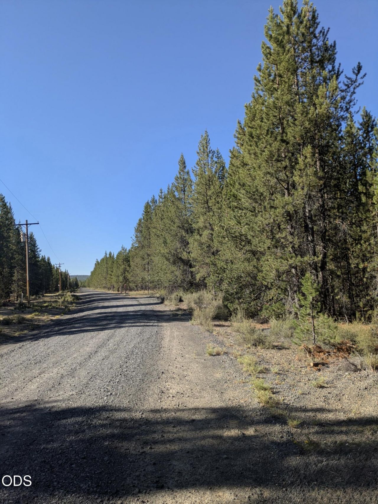123618 Cruikshank Drive, Crescent Lake, OR 97733 Main Photo