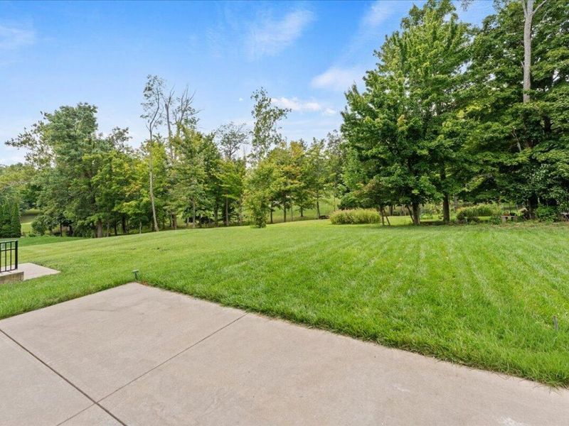 10862 Pleasant Colony Drive, Union, KY 41091 Photo 41