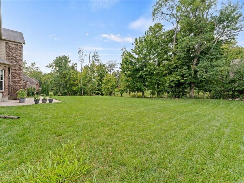 10862 Pleasant Colony Drive, Union, KY 41091 Photo 44
