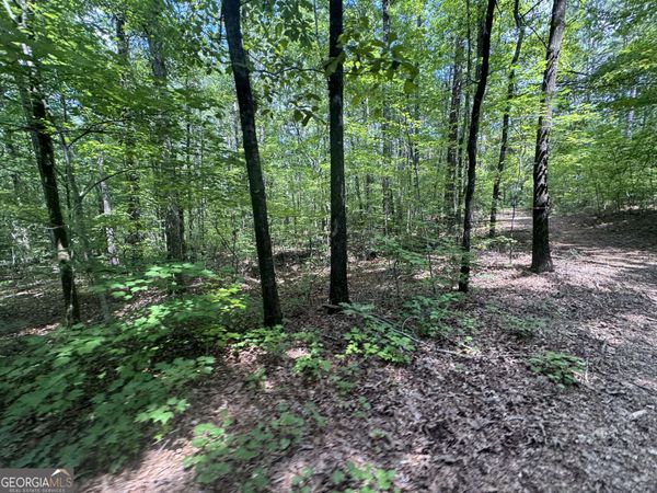 2996 Stokes Store Road, Forsyth, GA 31029