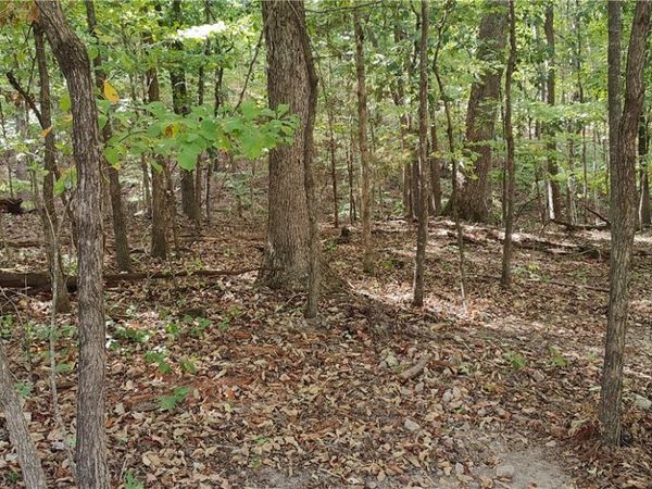 16-11641-000 Bell Lane, Bella Vista, AR 72714