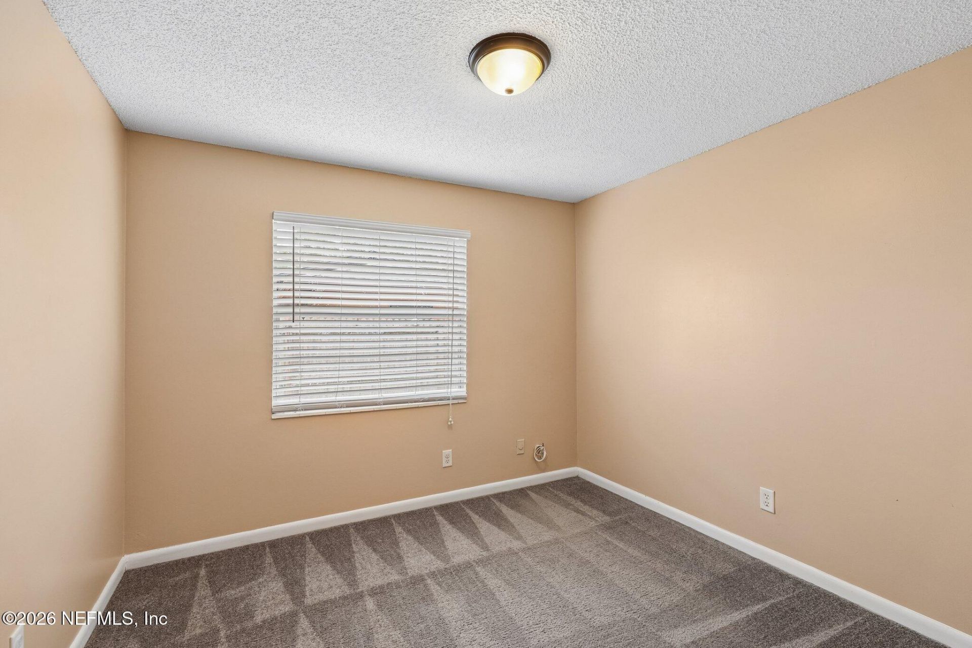 8364 Pointer Drive N, Jacksonville, FL 32221 Photo