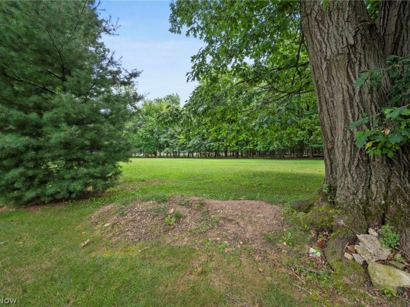 15826 Falmouth Oval, Middleburg Heights, OH 44130 Photo 21