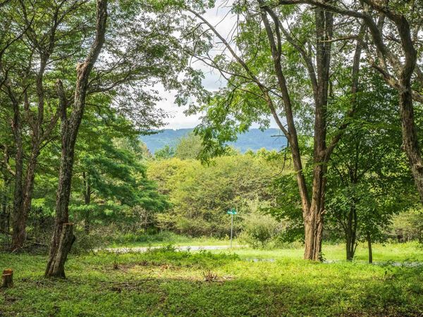 7 Roaring Plains Drive, Dryfork, WV 26263