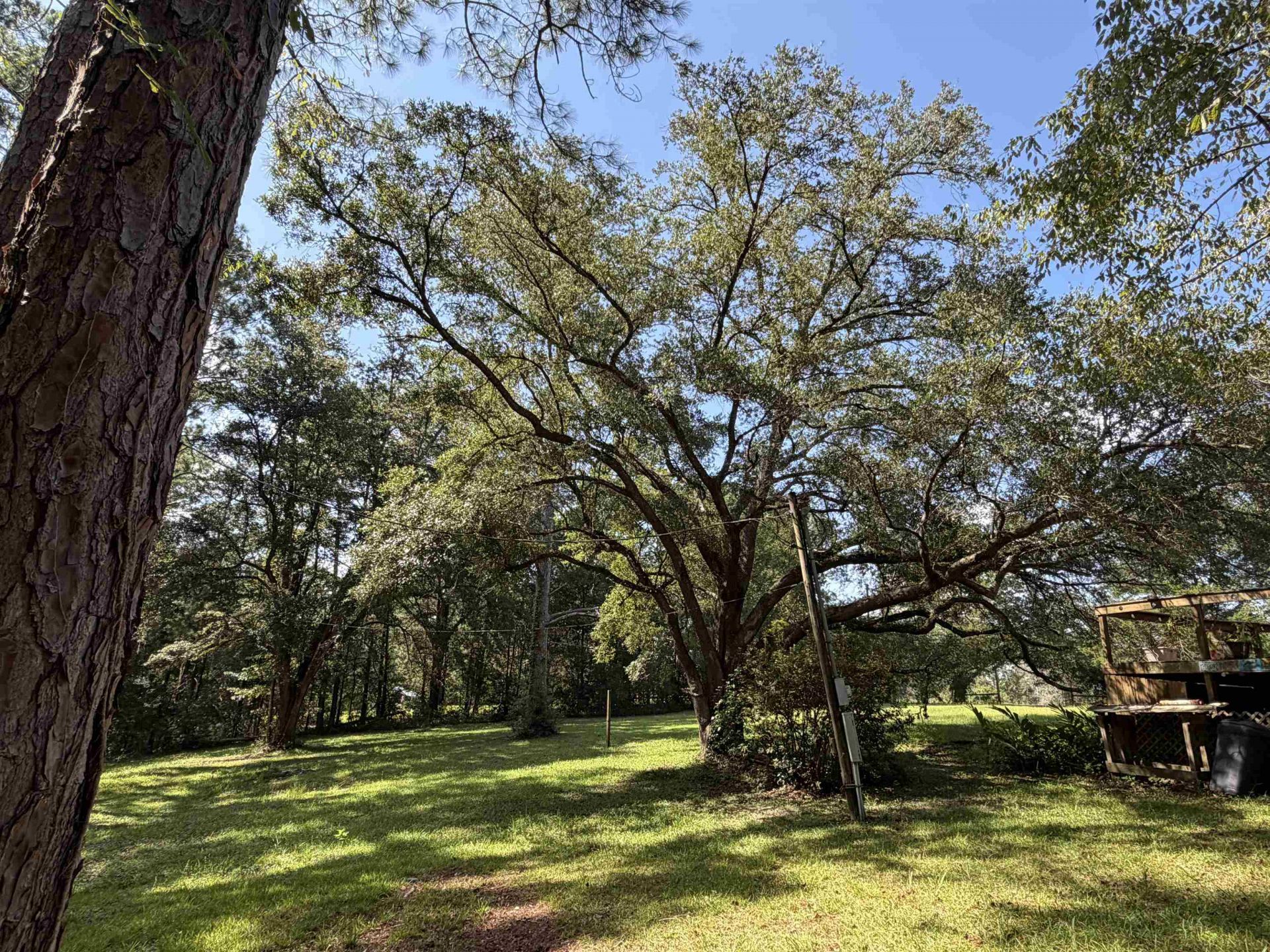 27 Tara Way , Havana, FL 32333 Photo