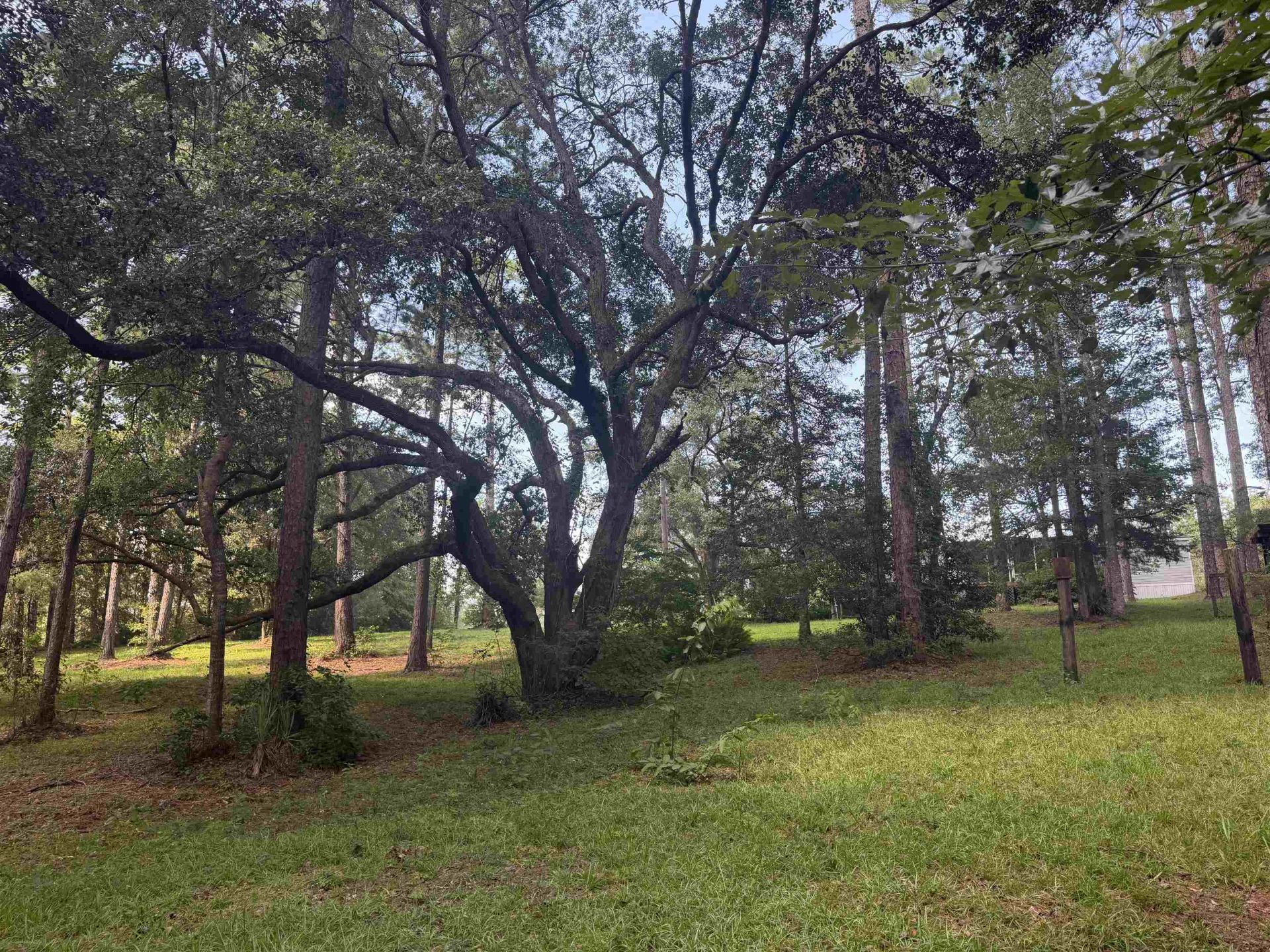27 Tara Way , Havana, FL 32333 Photo