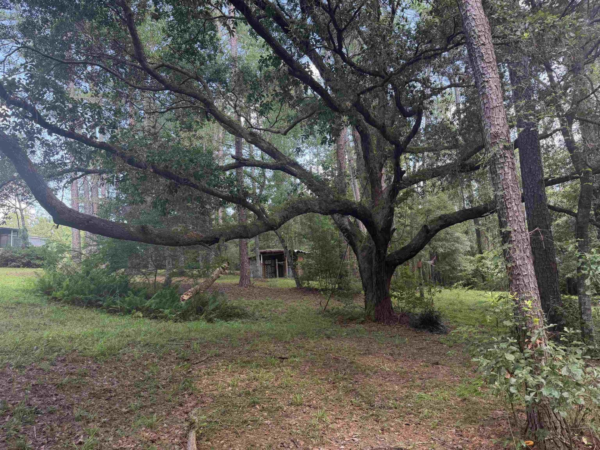 27 Tara Way , Havana, FL 32333 Photo