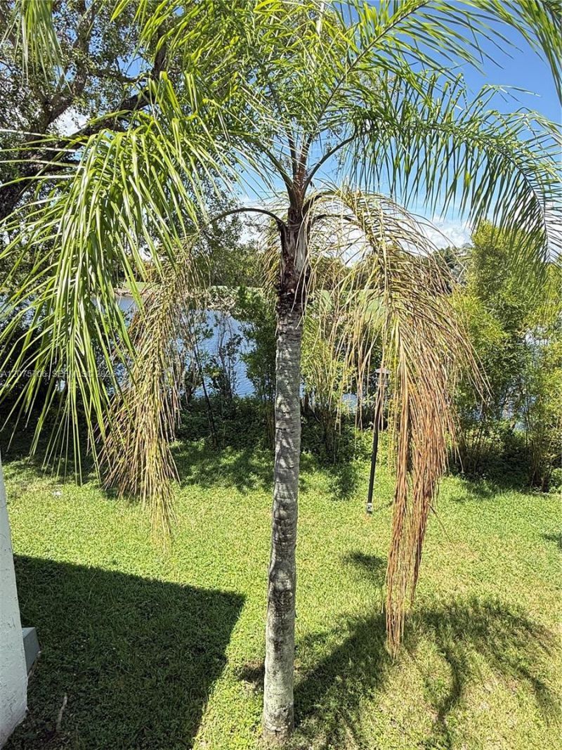 4974 NW 97th Pl , Unit 310, Doral, FL 33178 Photo