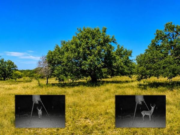 129 Big Buck Run Road , No City, TX 76841