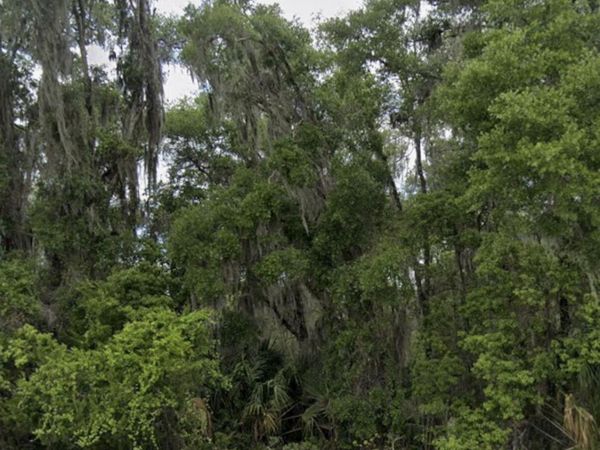 000 Seabiscuit Trail, DeLand, FL 32720