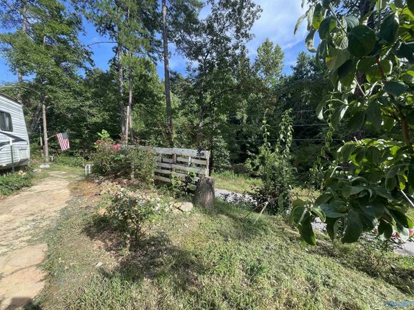797 Dripping Rock Road, Piedmont, AL 36272