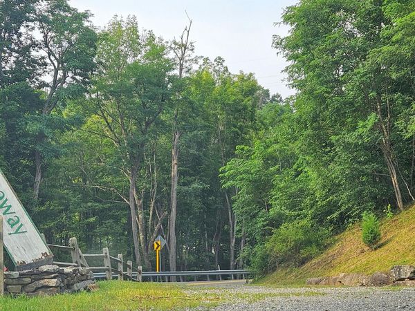 Lot 2 Hideaway Trl, Snowshoe, WV 26209