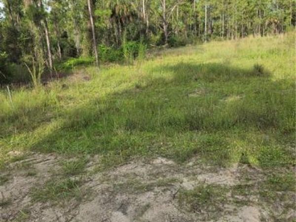 2310 Truman AVE , ALVA, FL 33920