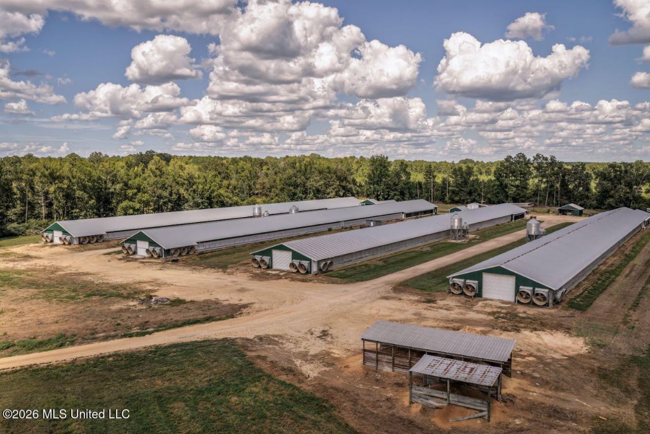 133 G W Smith Road, Silver Creek, MS 39663 Main Photo