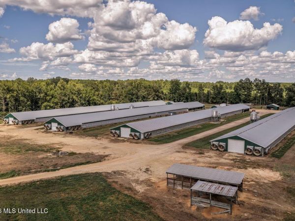 133 G W Smith Road, Silver Creek, MS 39663