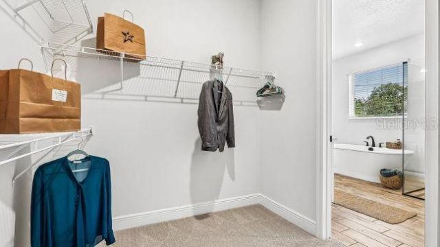 4750 N Capistrano Loop , Beverly Hills, FL 34465 Photo