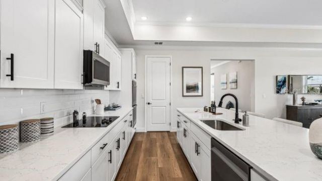 4750 N Capistrano Loop , Beverly Hills, FL 34465 Photo