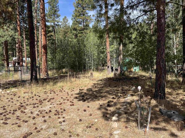 14 W River Dr., Lowman, ID 83637