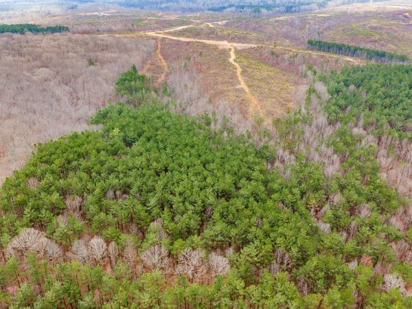 0 Rockport McIllwain Rd , Unit 2, Holladay, TN 38341