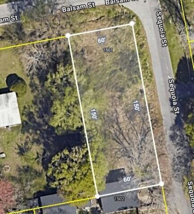 1501 Balsam Street Photo 1