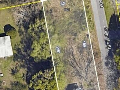 1501 Balsam Street, Charleston, SC 29407